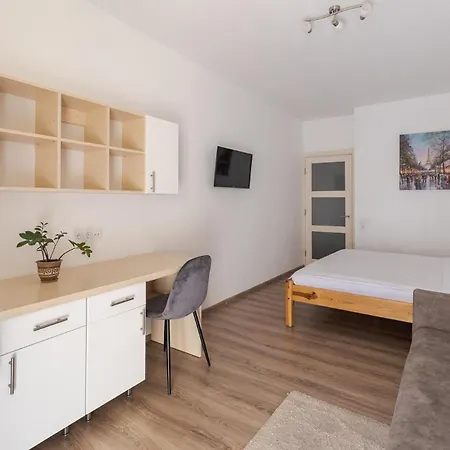 Osapart At Shevchenka 21 Street * Lviv